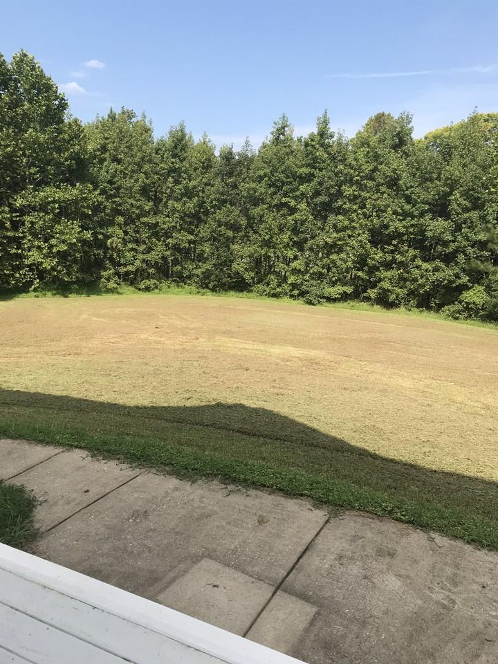 8777 Sandy Beach Ln #1 - Photo 2 of 14