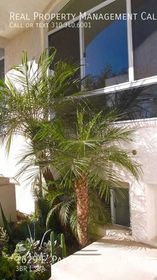 1629 E Palm Ave #7 - Photo 3 of 35