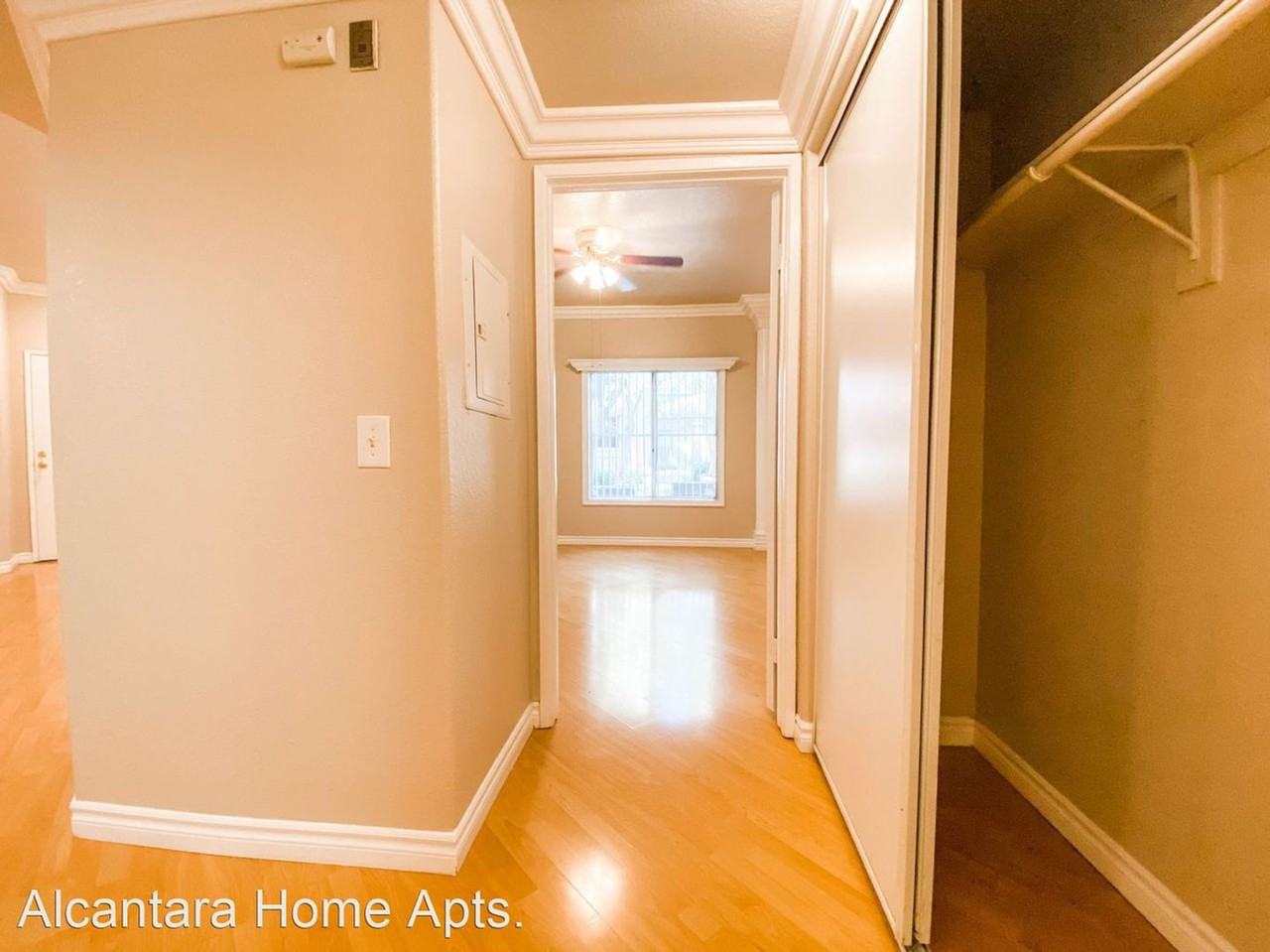 Alcantra - Photo 5 of 72