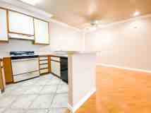 Alcantra - Photo 1 of 1