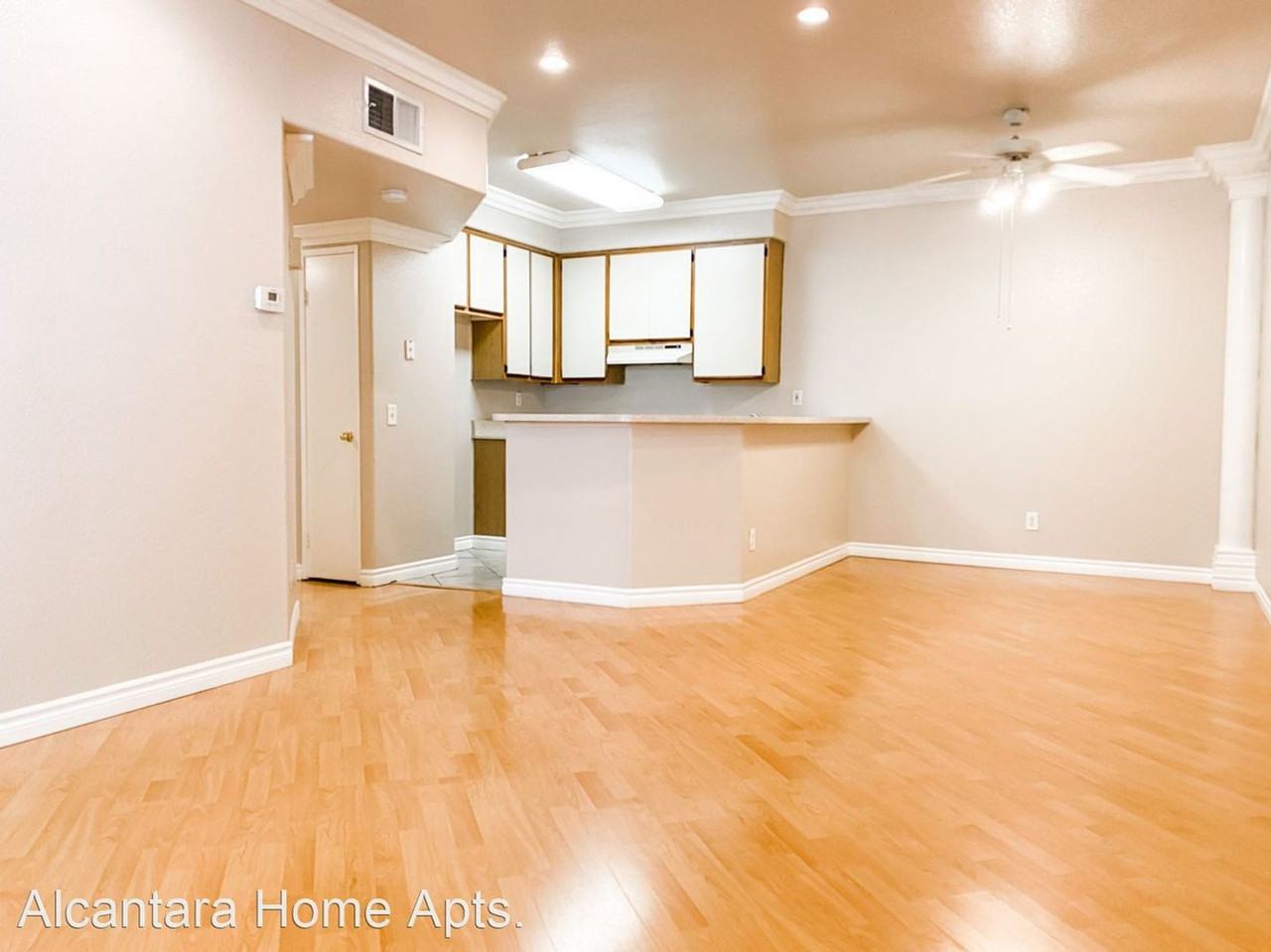 Alcantra - Photo 4 of 72