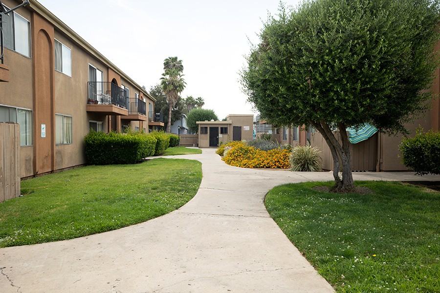 Terre at 989 Peach - Photo 7 of 47