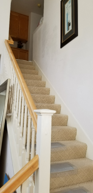 500 Freesia Dr - Photo 4 of 11