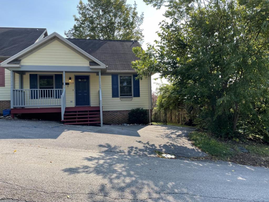 203 Correll Lane - Photo 3 of 16