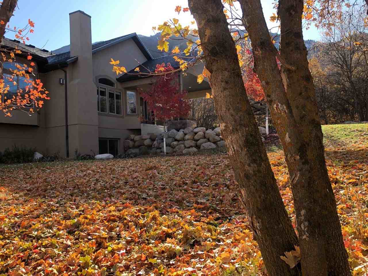 75 E Loafer Dr - Photo 2 of 11