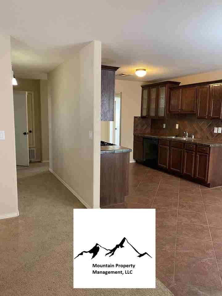 14218 Trigger Rock Lane - Photo 3 of 19