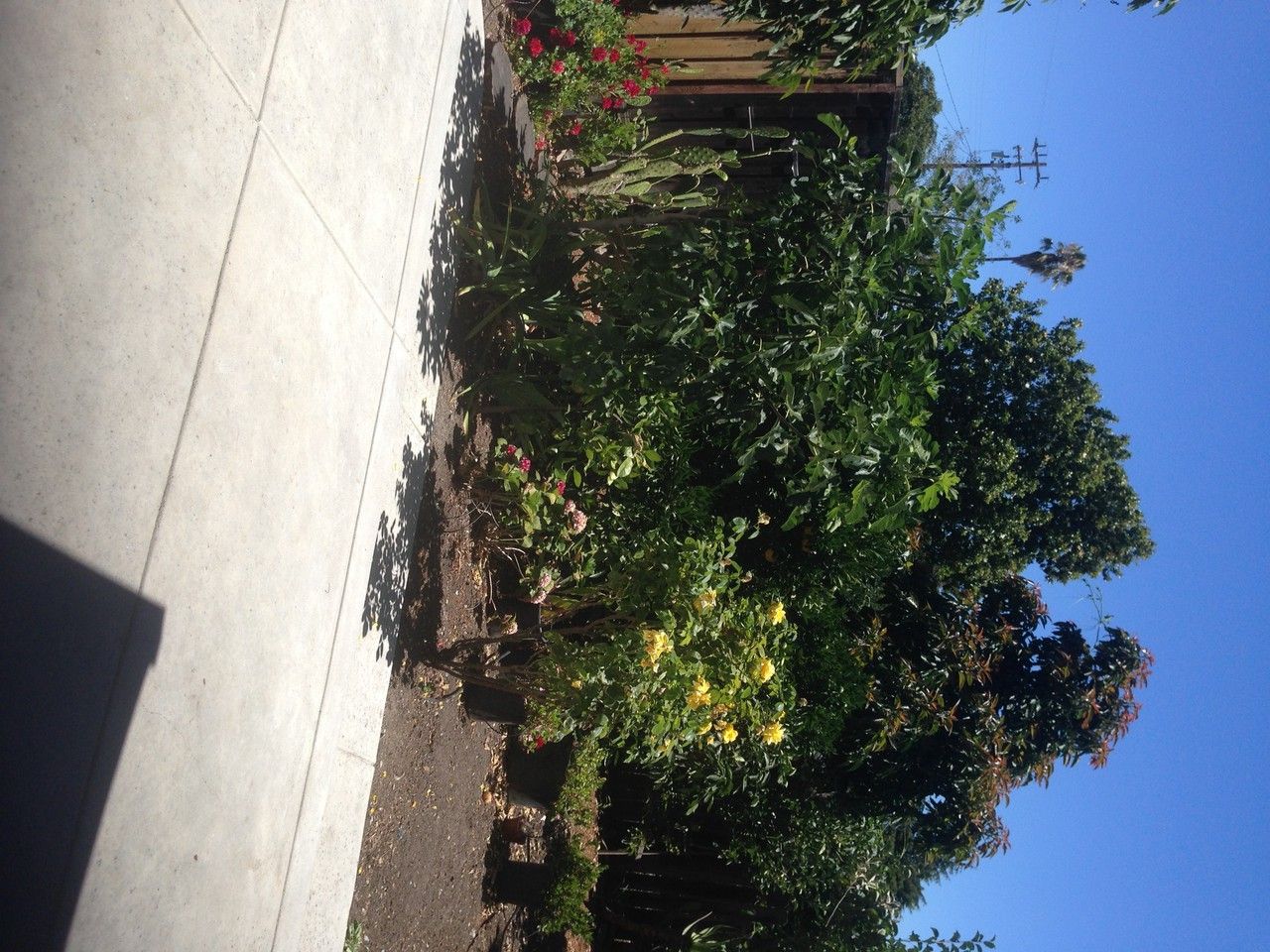 0 Clarke Ave - Photo 3 of 12