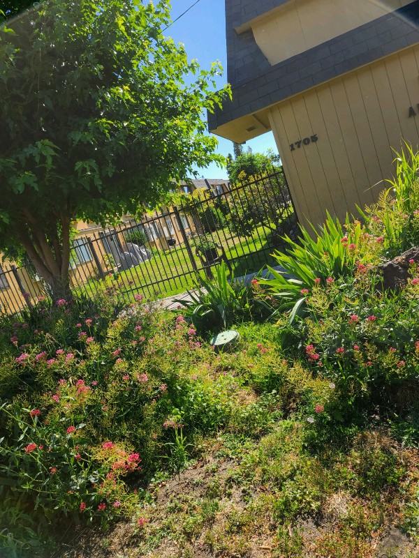 1705 Gordon Rd - Photo 4 of 6