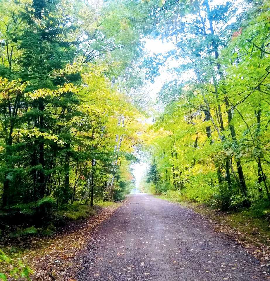 32280 Southwood Road - Photo 2 of 25