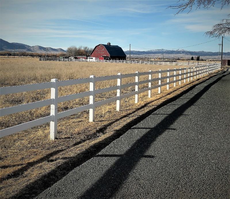 2470 York Rd #4 - Photo 3 of 23