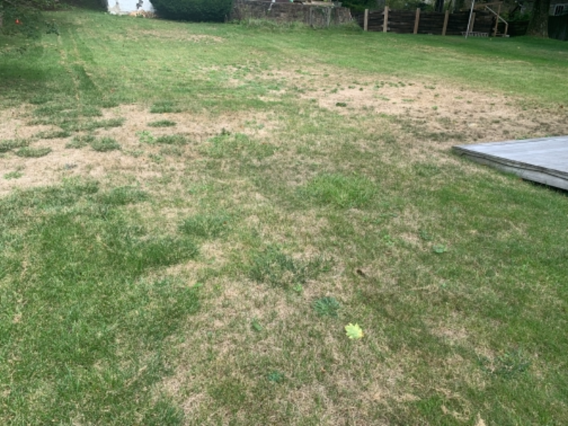 Cambria Ave - Photo 2 of 25
