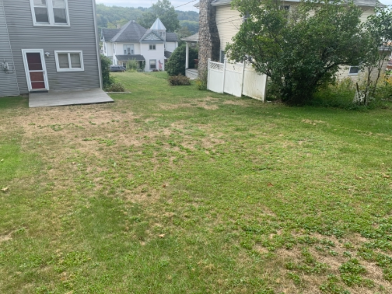 Cambria Ave - Photo 3 of 25