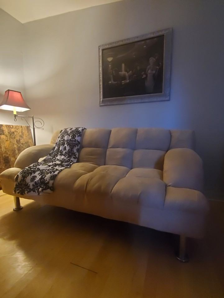 309 E Grand River Ave - Photo 2 of 10