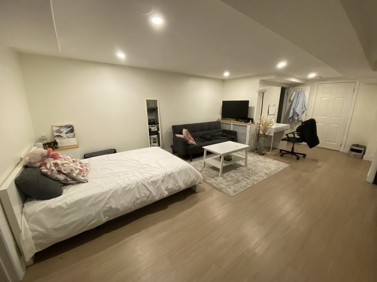 116 Lisgar Street #Lower