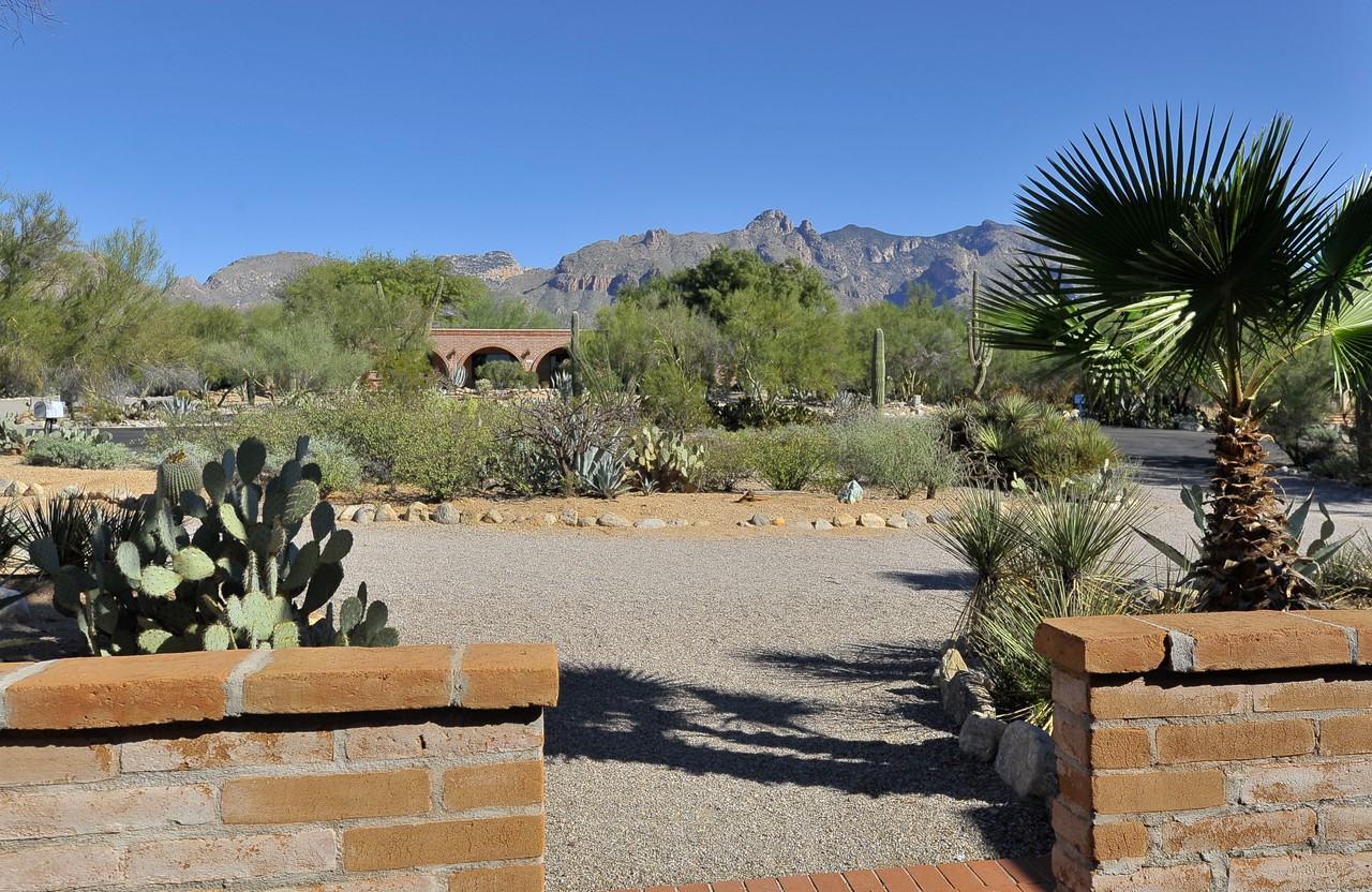 2172 E Cerrado Brio - Photo 2 of 43