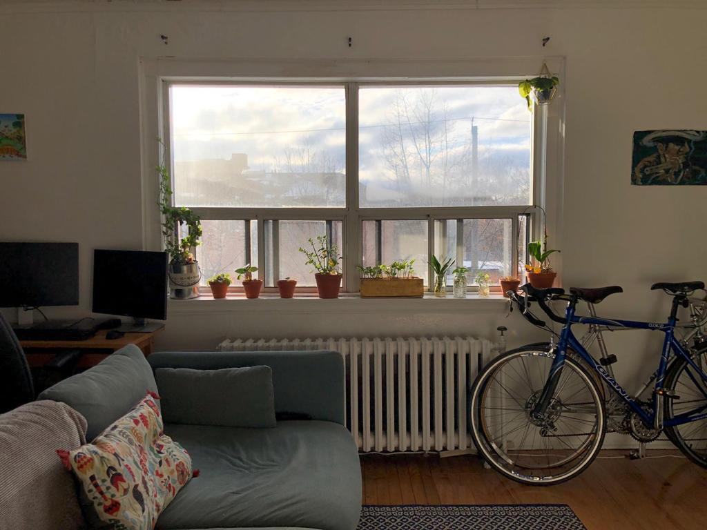 1 Elm Grove Avenue #21 - Photo 2 of 8