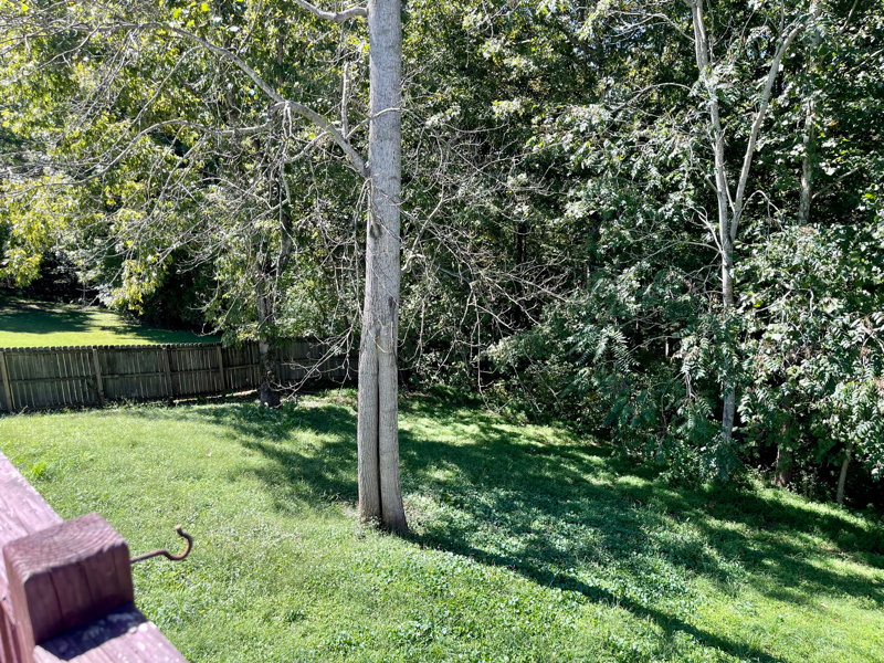 3229 Backridge Rd - Photo 2 of 12