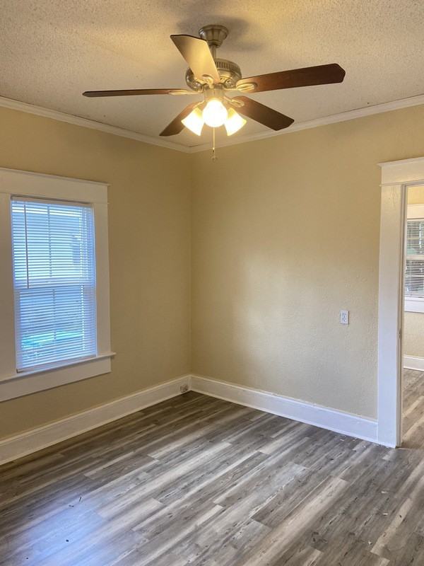 1509 Woodward St #1 - Photo 7 of 11