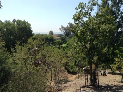 15608 Arbela Dr - Photo 3 of 13