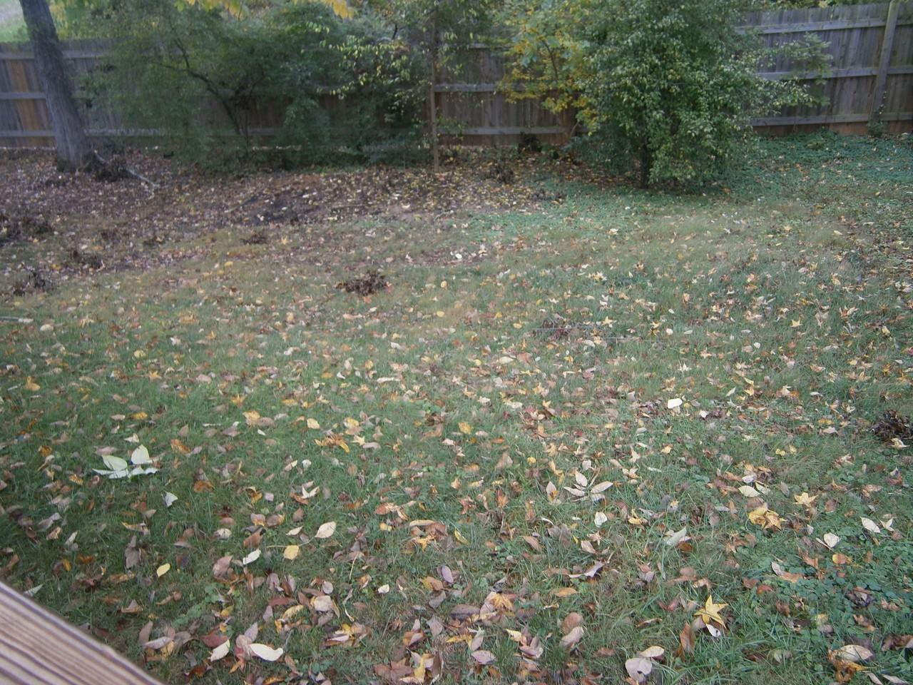 1415 Dans Rd - Photo 3 of 13