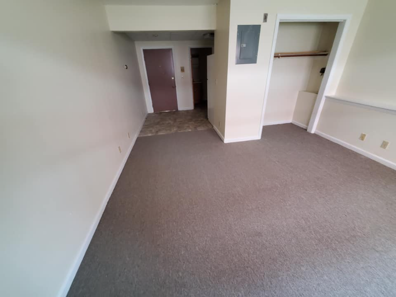 241 Pearl Street - Photo 3 of 5