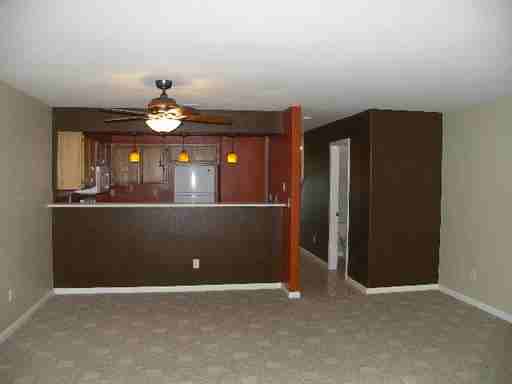 599 Spruce St - Photo 3 of 14