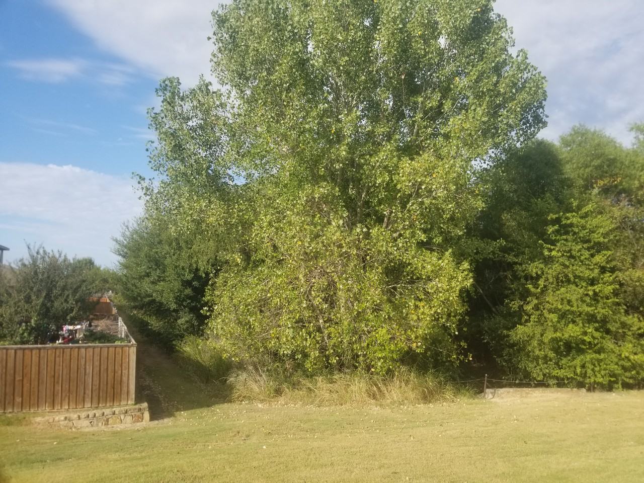 5408 Mountain Pointe Dr - Photo 3 of 9