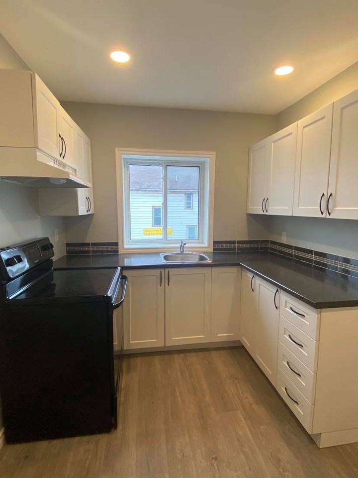 Three Fully Renovated Single-Bedroom Units, in the Heart of Niagara Falls - Photo 3 of 18