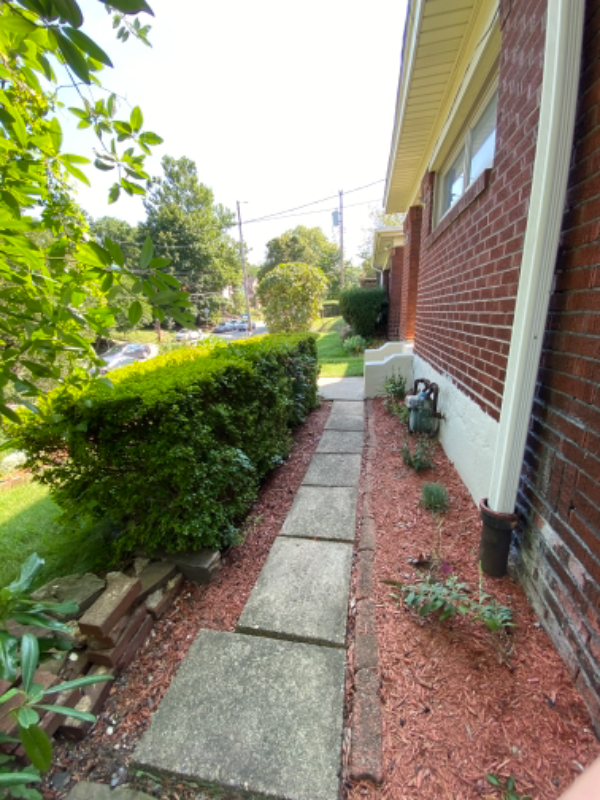 3583 Beechwood Boulevard - Photo 7 of 22