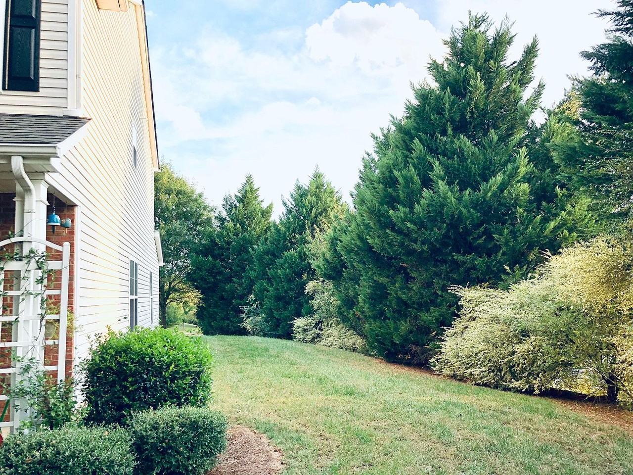 2814 Summergrove Ct - Photo 6 of 12