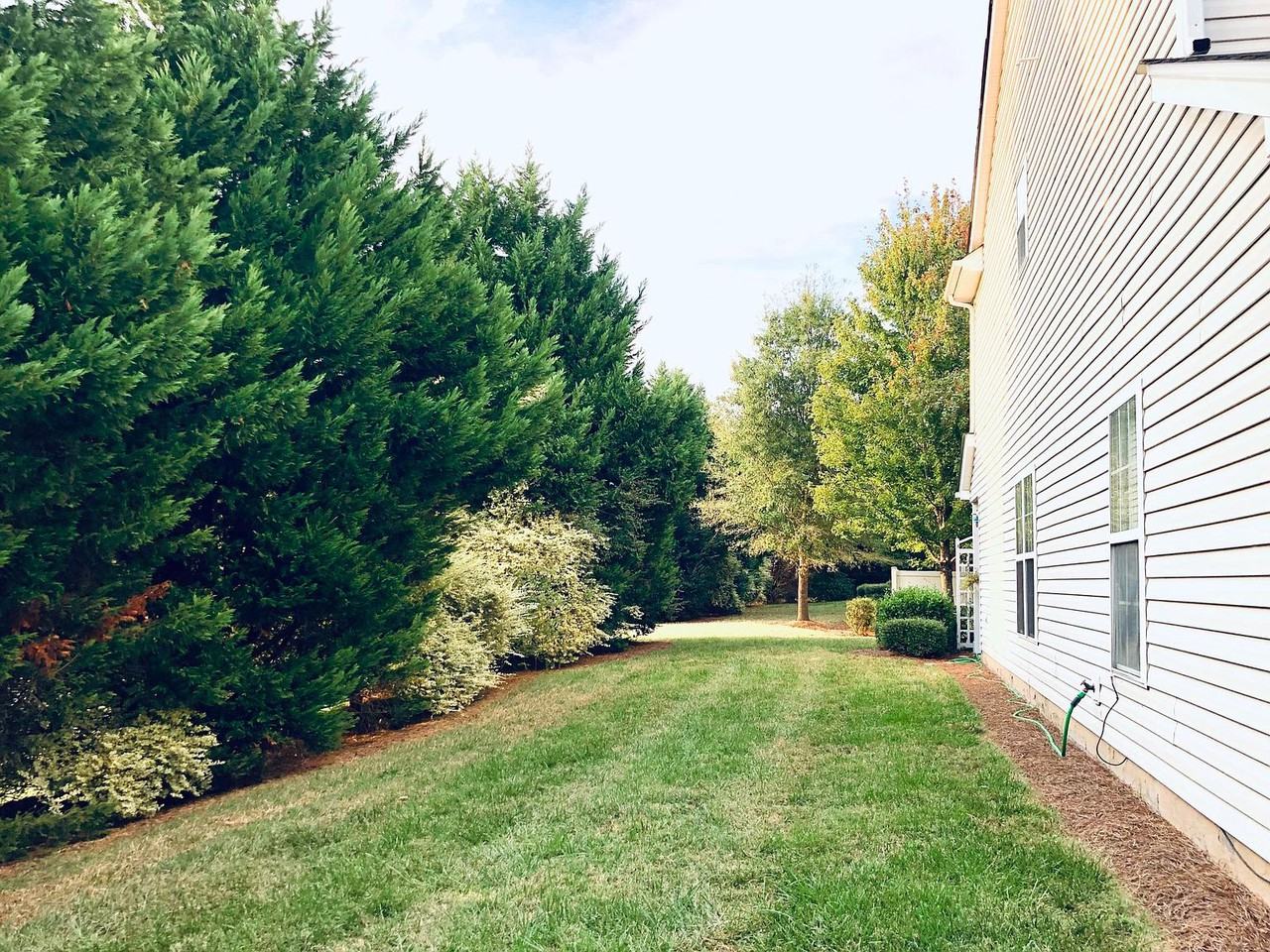 2814 Summergrove Ct - Photo 7 of 12