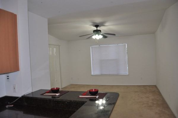 1780 Palm Cove Blvd #299 - Photo 4 of 19