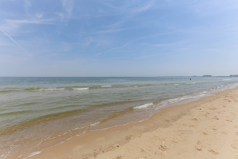 4466 Lauderdale Ave - Photo 2 of 50