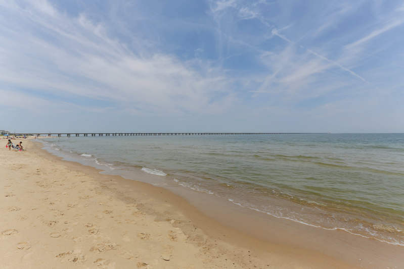 4466 Lauderdale Ave - Photo 3 of 50