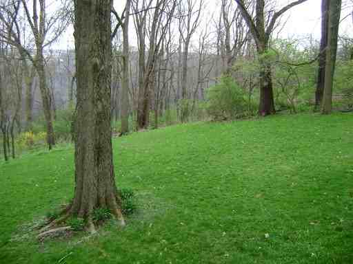 436 Wooster Rd - Photo 3 of 11