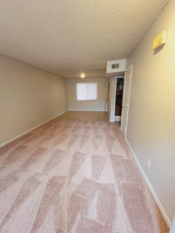 209 Wiley St - Photo 3 of 11