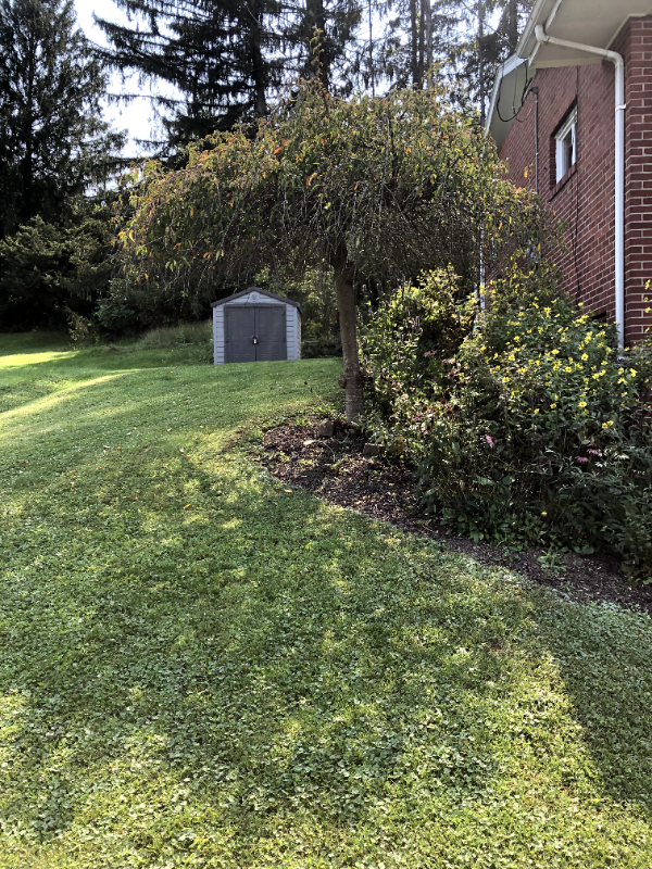3486 North Ave - Photo 3 of 15