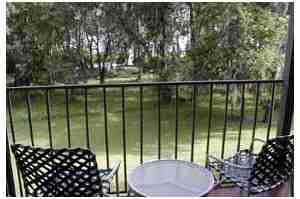 Lake Carlton Arms - Photo 2 of 20