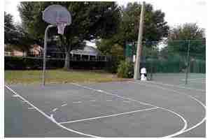 Lake Carlton Arms - Photo 3 of 20