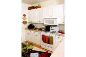 Avalon Pines - Photo 3 of 54