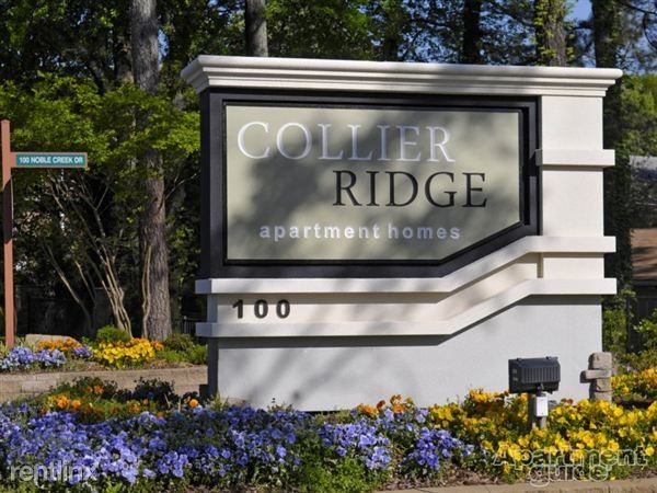 Collier Ridge - Photo 3 of 7