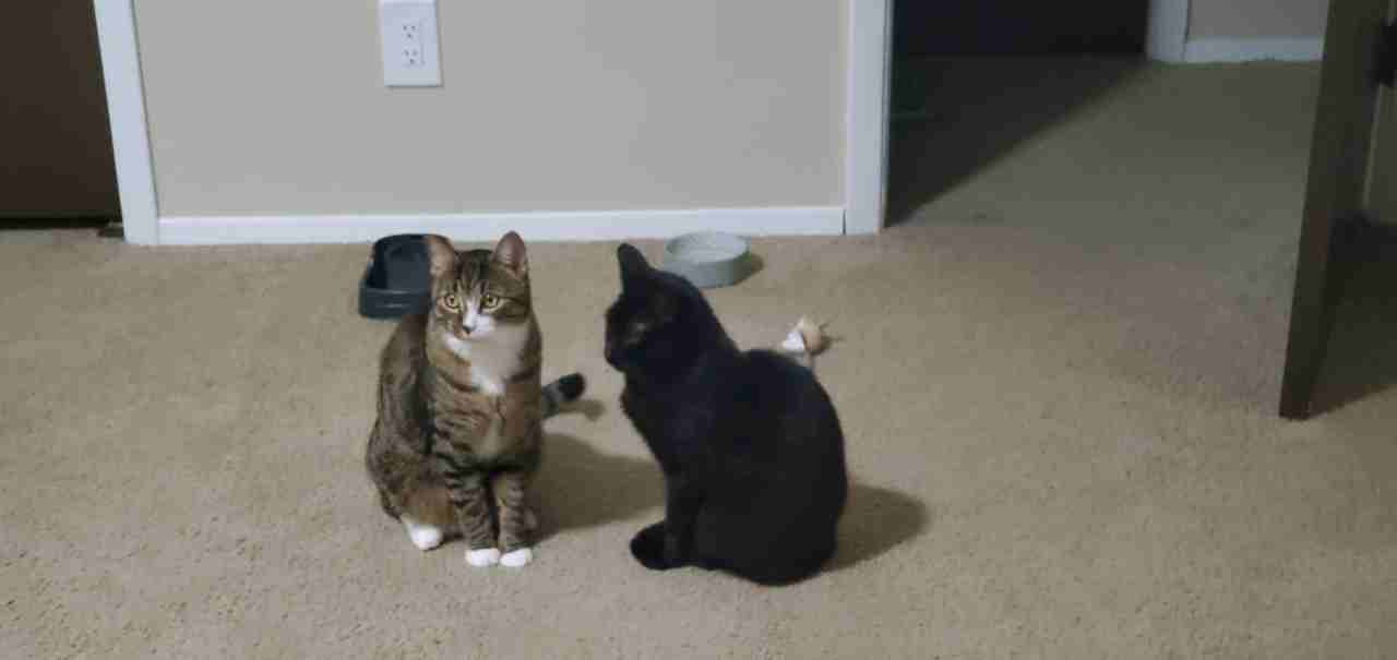 25300 Rockside Road - Photo 3 of 4