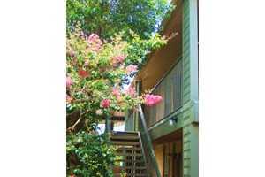 Casa del Sol Apartments - Photo 2 of 6