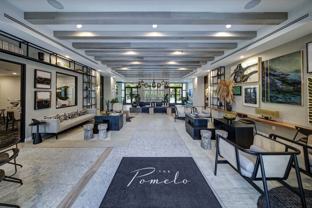 The Pomelo - Photo 1 of 1