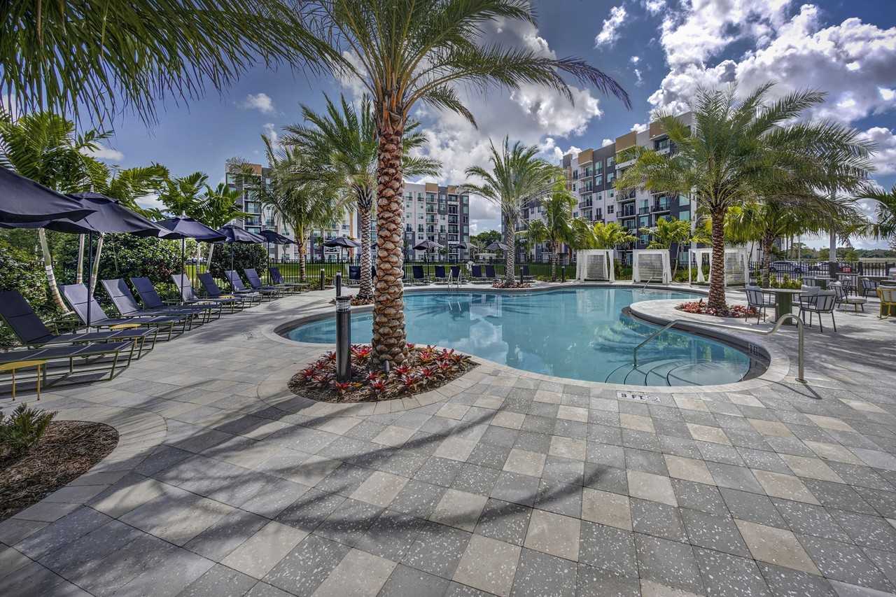 The Pomelo - Photo 2 of 34