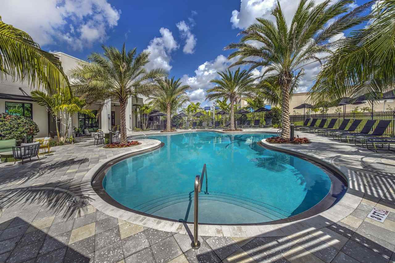 The Pomelo - Photo 3 of 34