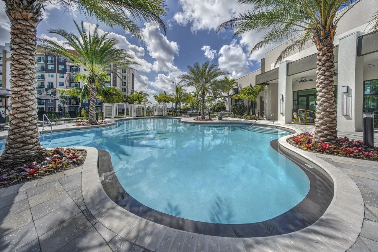 The Pomelo - Photo 5 of 34