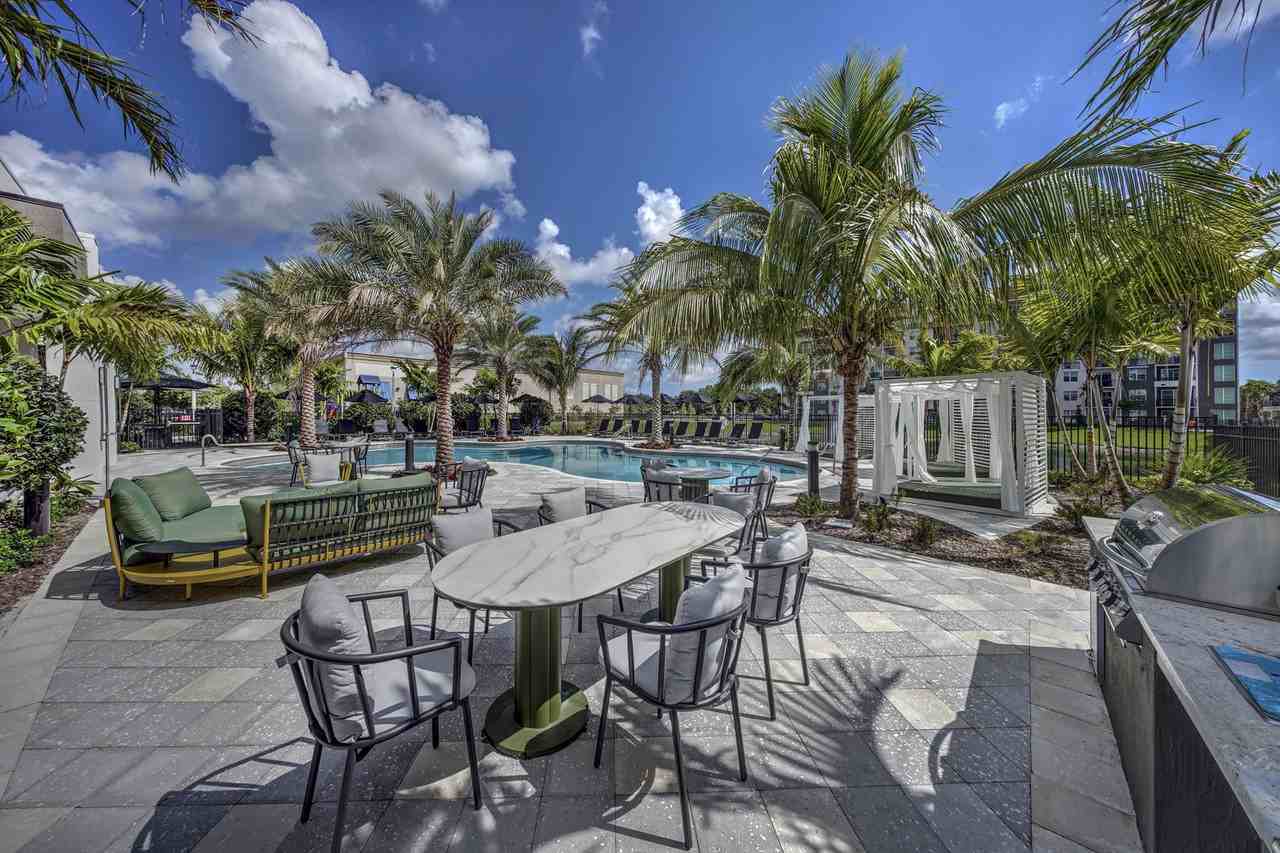 The Pomelo - Photo 6 of 34