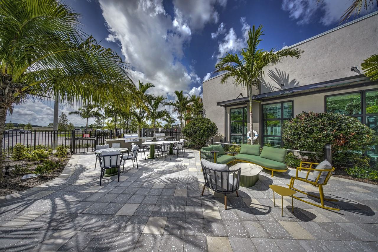 The Pomelo - Photo 7 of 34