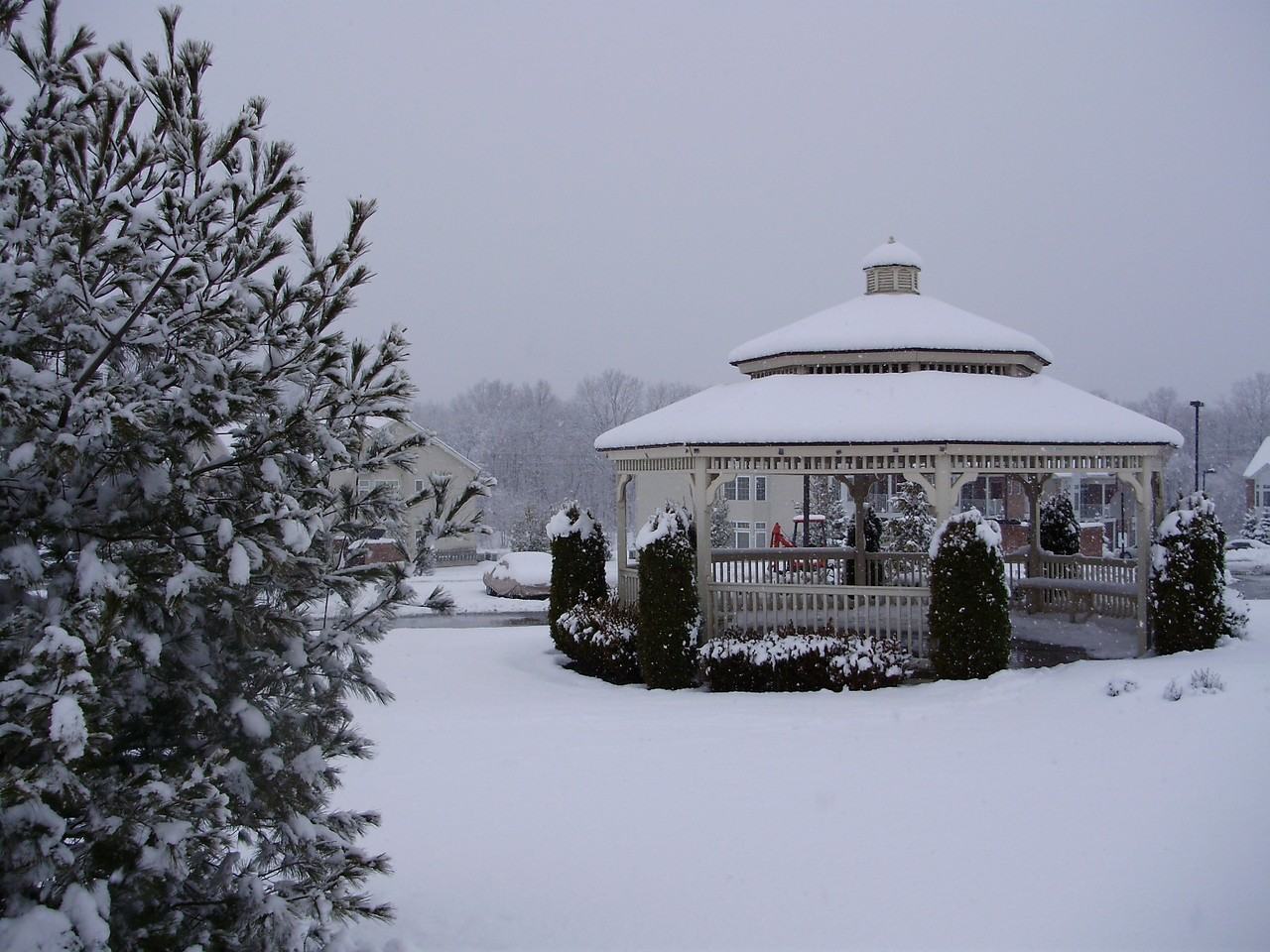 The Regency Club - Photo 2 of 11